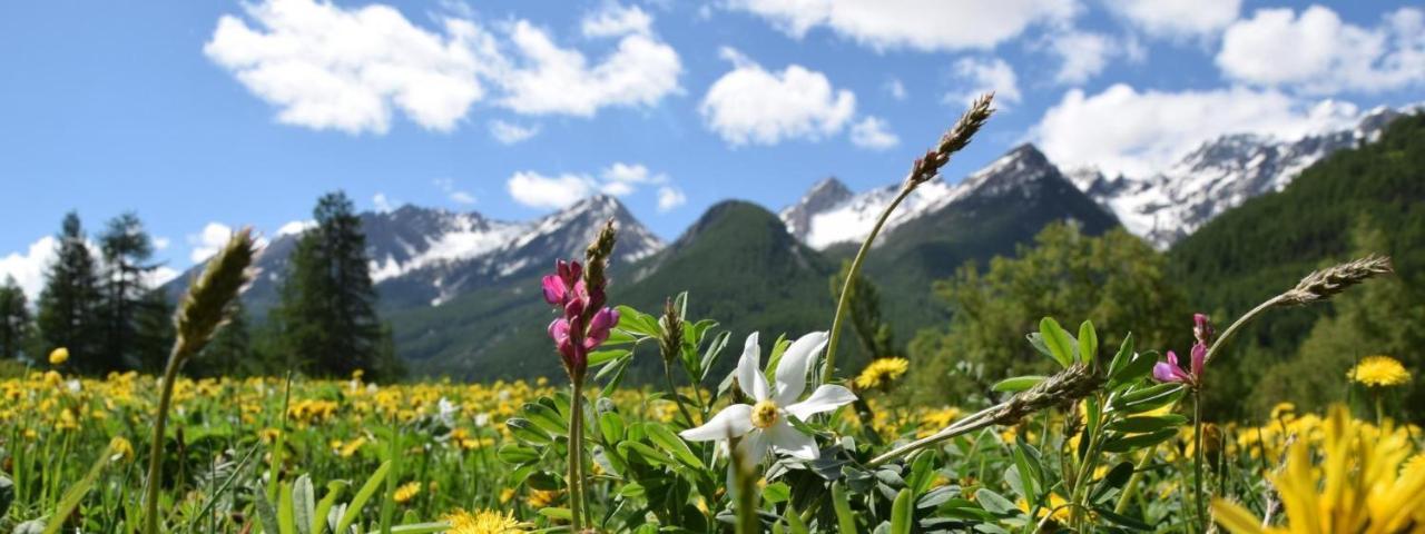 Nice Appt In Briancon Les Charmettes Zewnętrze zdjęcie