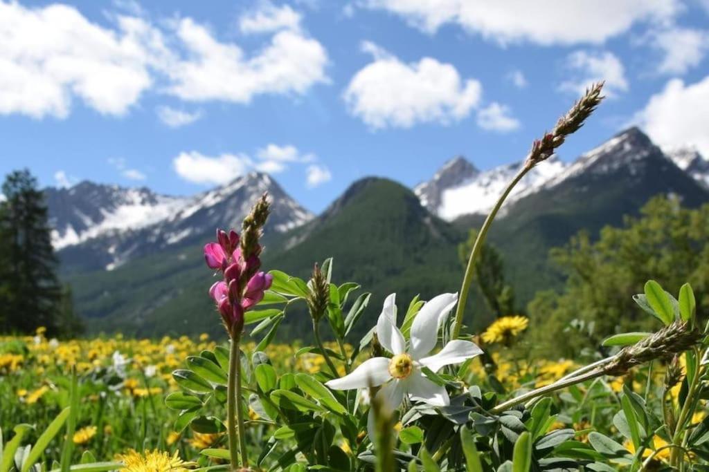 Nice Appt In Briancon Les Charmettes Zewnętrze zdjęcie